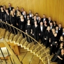 Chorus-Musicus-Koeln